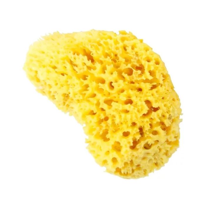 Ultra Douce Éponge Naturelle Estipharm