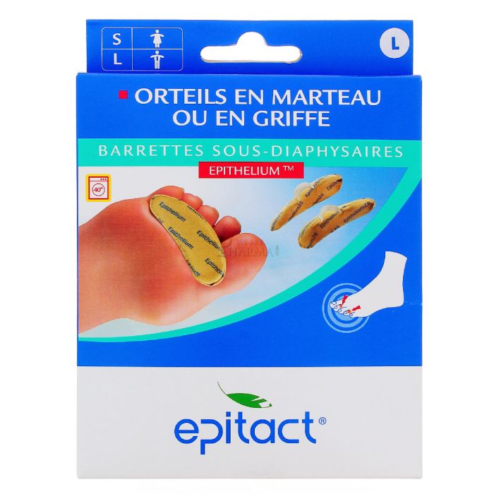 BARRETTES SOUS-DIAPHYSAIRES EPITACT A L'EPHITHELIUM TAILLE L
