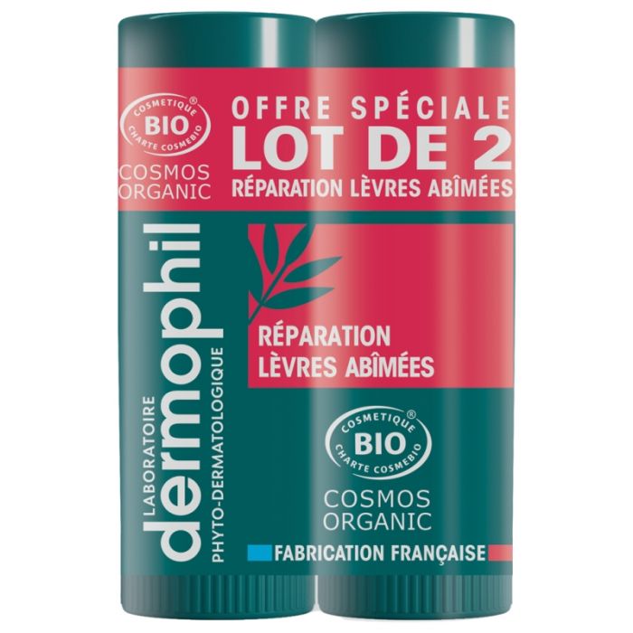 DERMOPHIL INDIEN Stick Lèvres x2