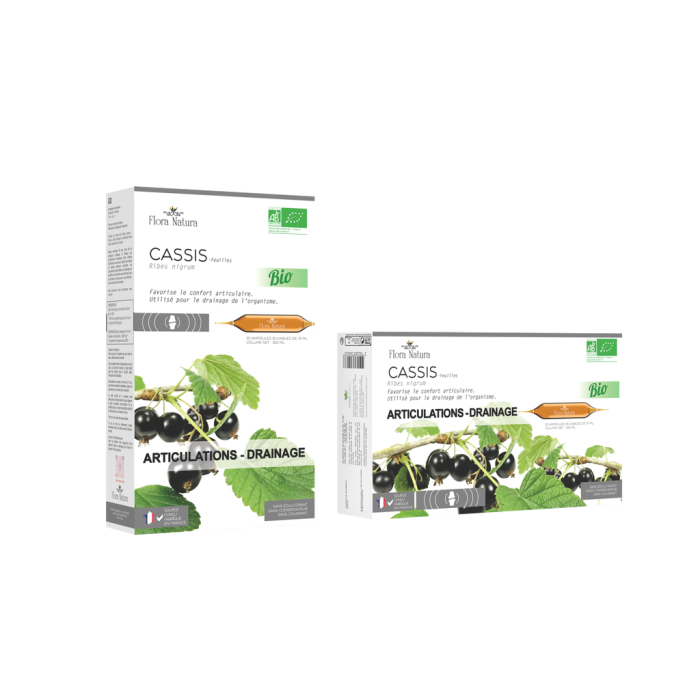Natura Flora Cassis Bio 20 ampoules