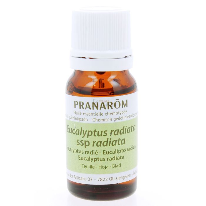 Huile essentielle eucalyptus radie pranarom 10ml