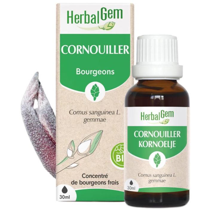 Herbalgem Cornouillet BIO 30ml
