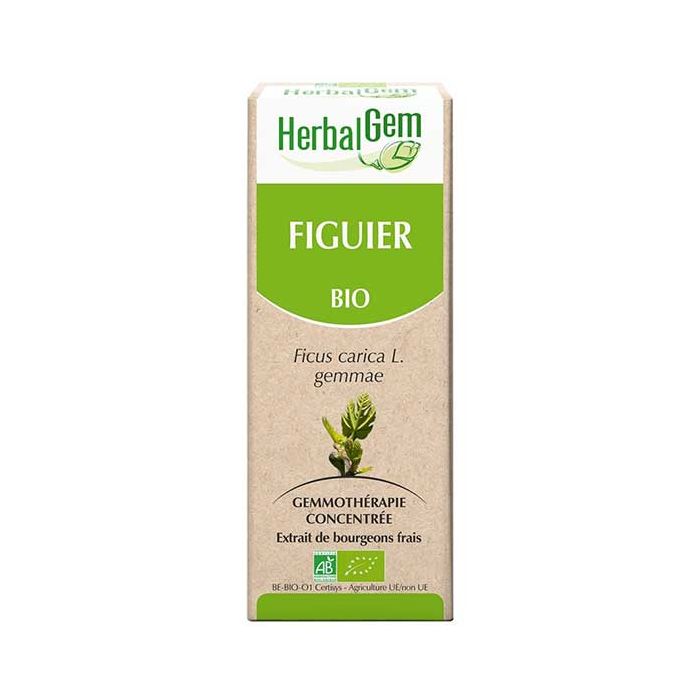 Herbalgem Figuier BIO 30ml
