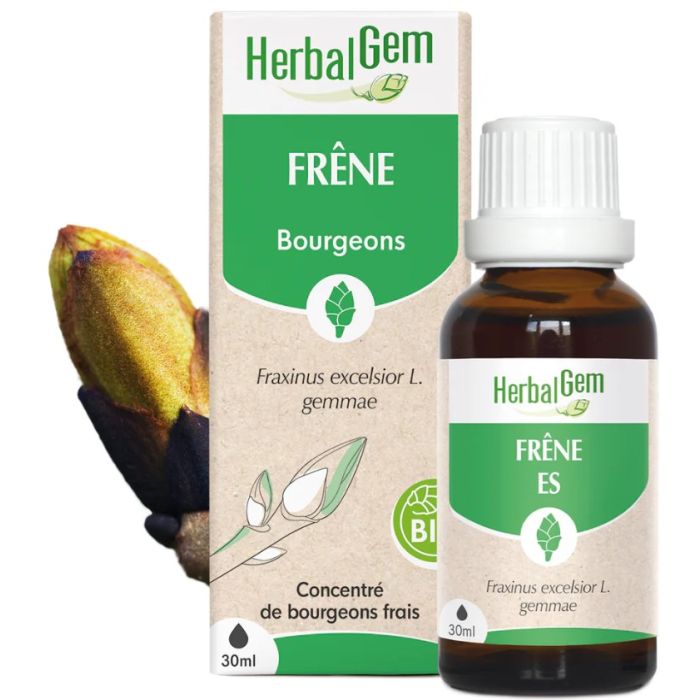 Herbalgem Frêne BIO 30ml